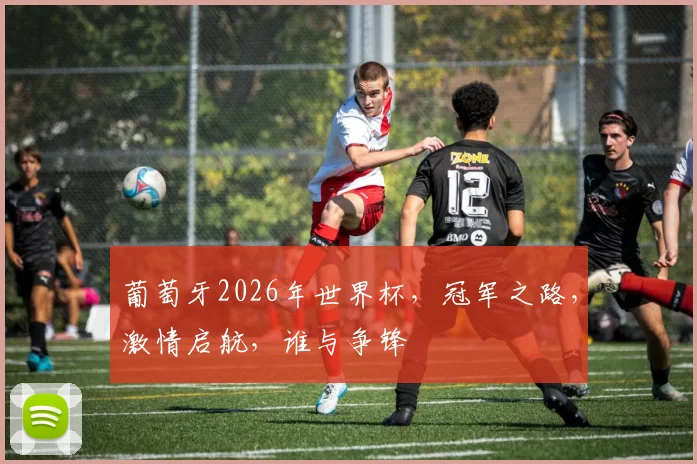 葡萄牙2026年世界杯，冠军之路，激情启航，谁与争锋