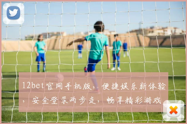 12bet官网手机版，便捷娱乐新体验，安全登录两步走，畅享精彩游戏逗逗乐