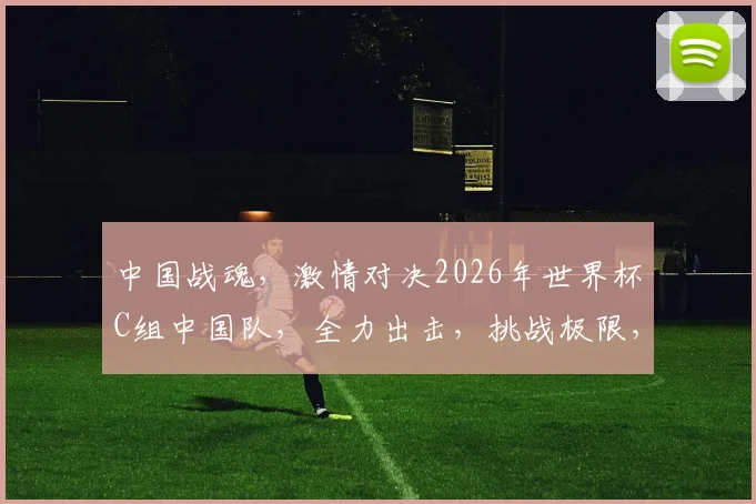 中国战魂，激情对决2026年世界杯C组中国队，全力出击，挑战极限，全力以赴