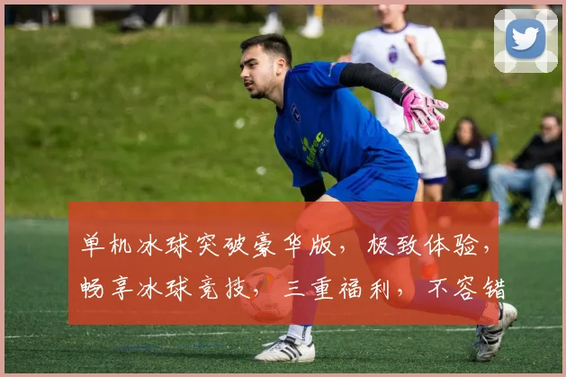 单机冰球突破豪华版，极致体验，畅享冰球竞技，三重福利，不容错过，尽在豪华版